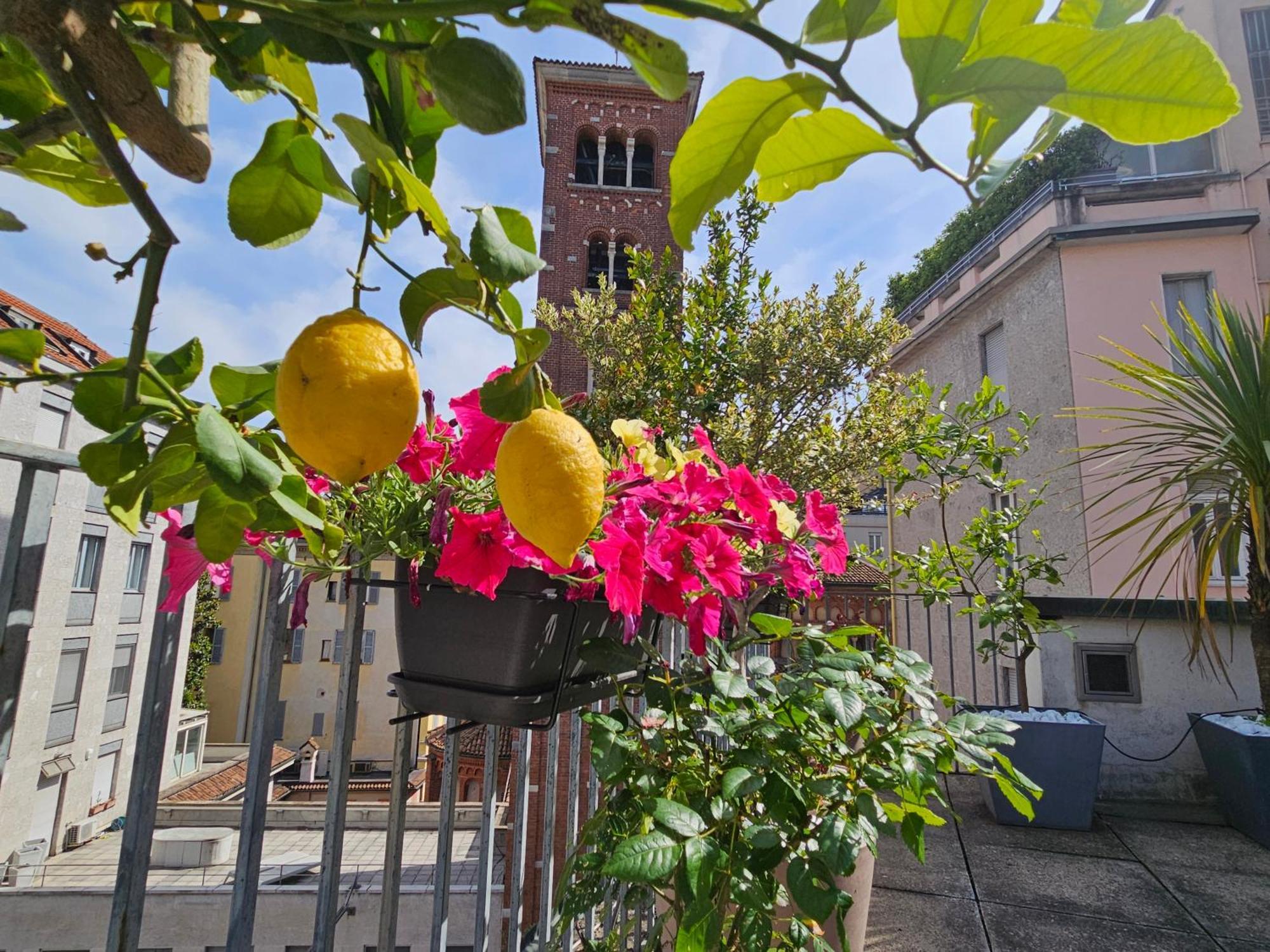 Exclusive Top Floor 2-Bedroom Flat Milan Exterior photo